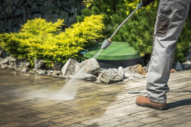 Best Gutter Cleaning  in Wilmer, TX